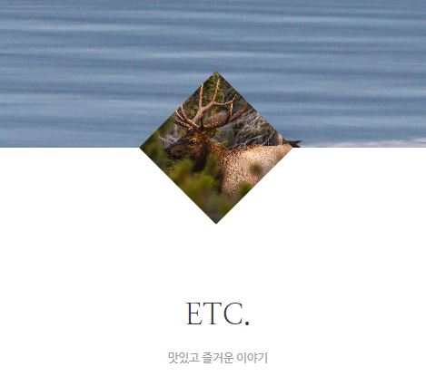 태상의 미니샵에 담긴 타운하우스 라이프의 모든 것