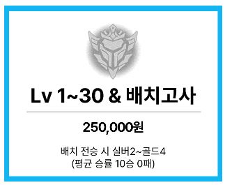 롤대리 하루팀은 최고에요